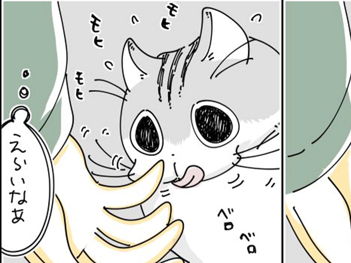 キュルZさんの漫画の画像