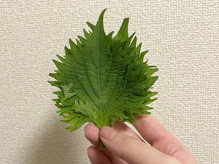 大葉の写真（撮影：grapeフード編集部）