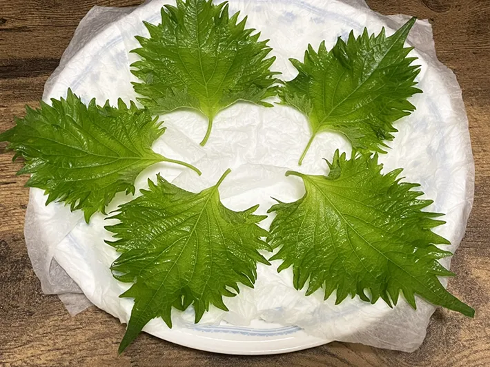 大葉を耐熱皿に並べる写真（撮影：grapeフード編集部）