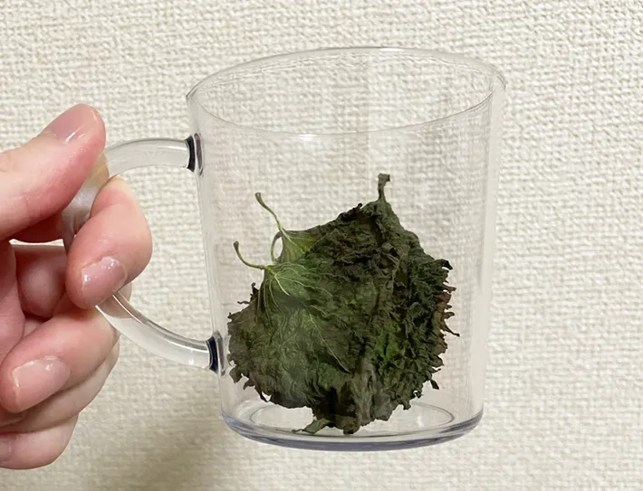 大葉を器に入れた写真（撮影：grapeフード編集部）