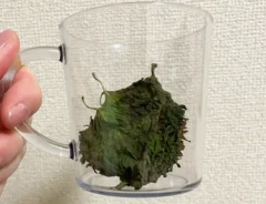 大葉を器に入れた写真（撮影：grapeフード編集部）