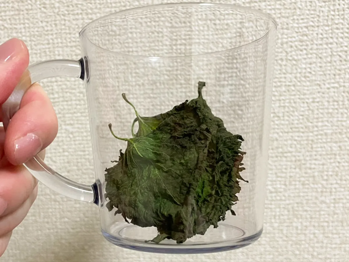 大葉を器に入れた写真（撮影：grapeフード編集部）