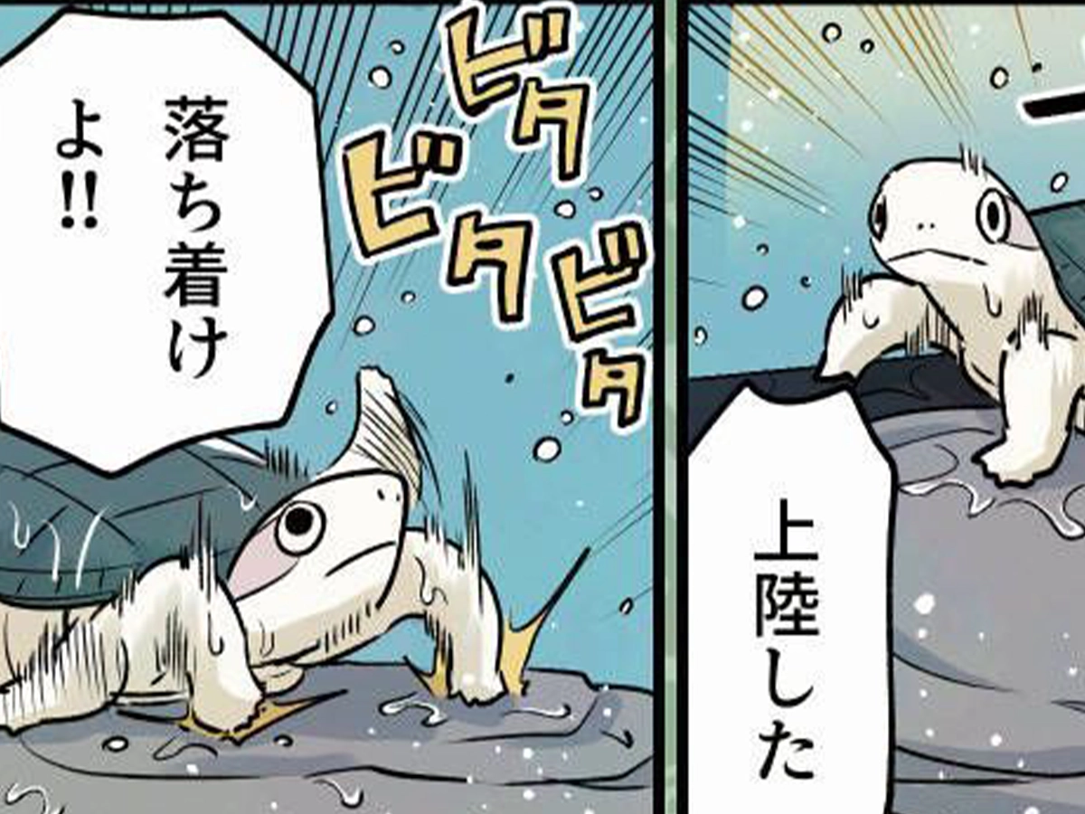カメユさんの漫画の画像