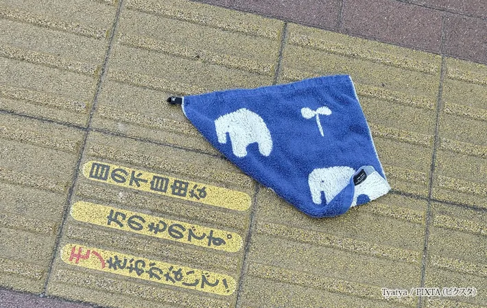 『点字ブロックの上の落とし物』の写真