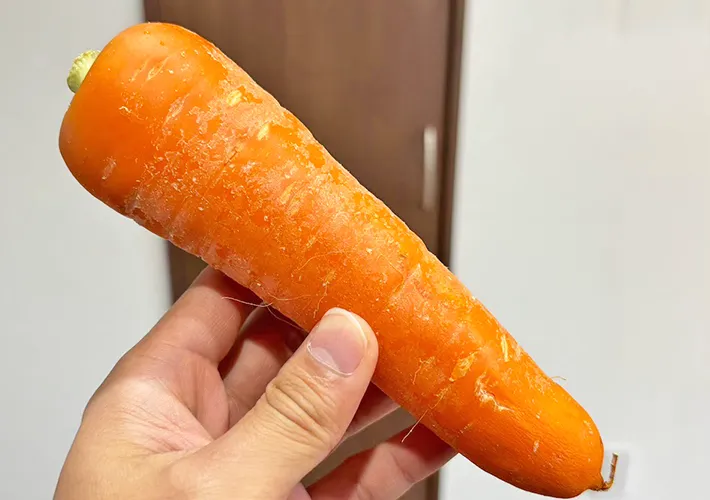 ニンジンの写真（撮影：キジカク）