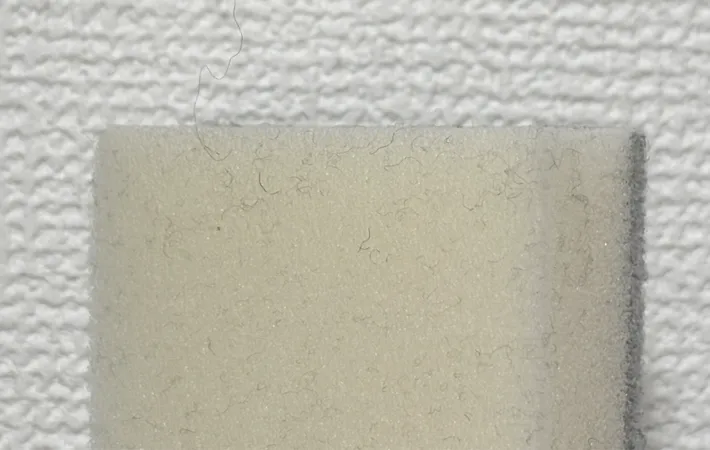 スポンジでほこりを払った後の写真（撮影：grapeライフハック編集部）