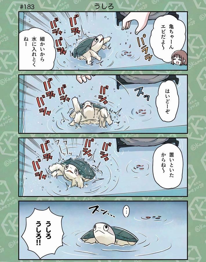 カメユさんの漫画の画像