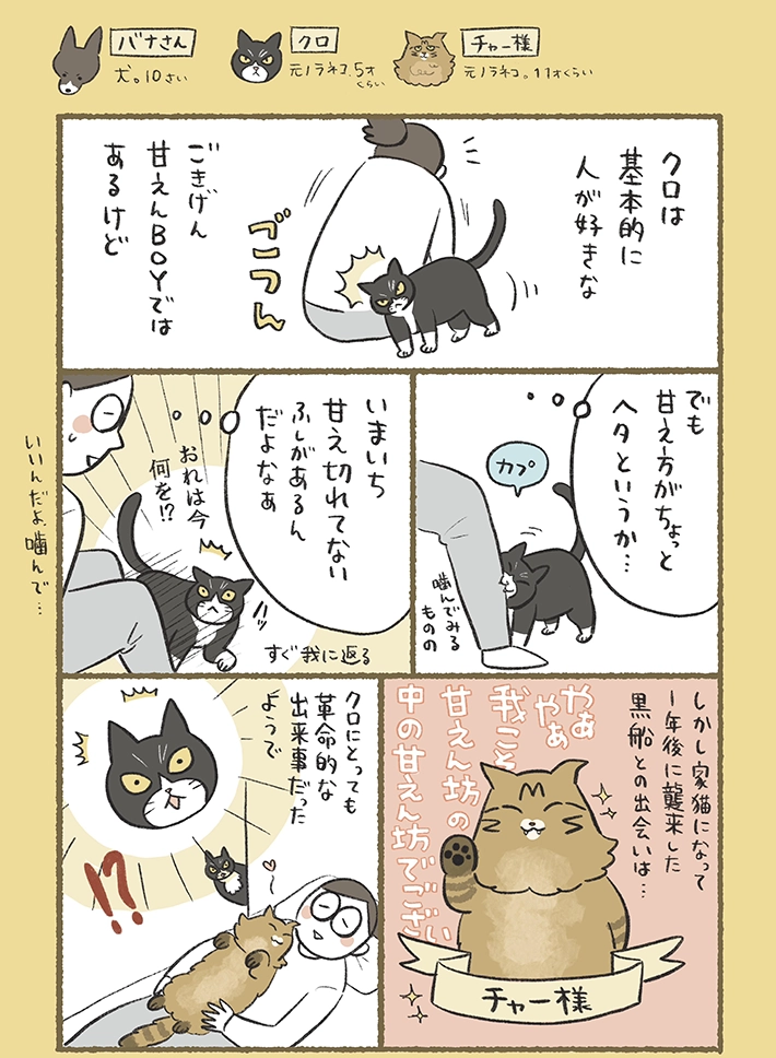 ふじもりはるさんの漫画の画像