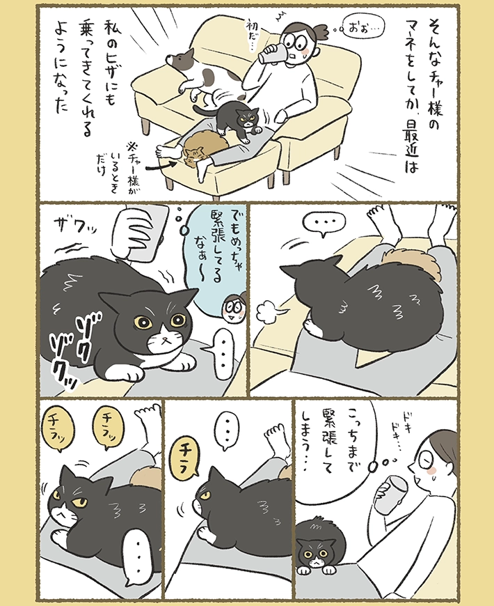 ふじもりはるさんの漫画の画像