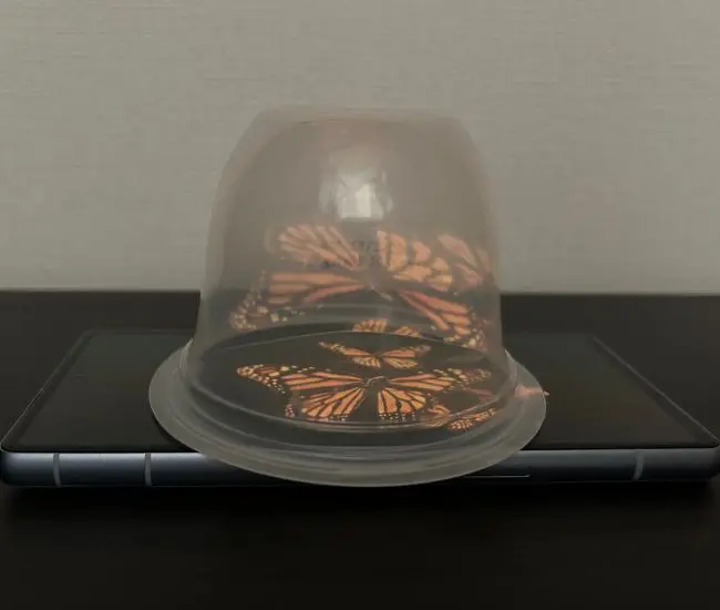 3Dホログラム動画の上に容器を被せた様子（撮影：grapeライフハック編集部）