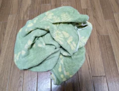 バスタオルの写真（撮影：grapeライフハック編集部）