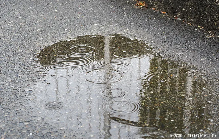 水たまりの写真
