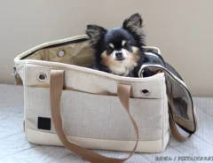 犬とバッグの写真