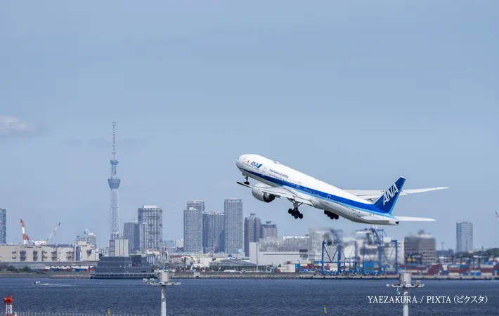 『離陸中の飛行機と東京スカイツリー』の写真
