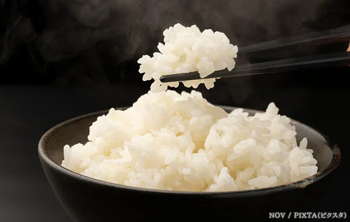 ご飯の写真