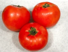 トマトの写真（撮影：grape編集部）