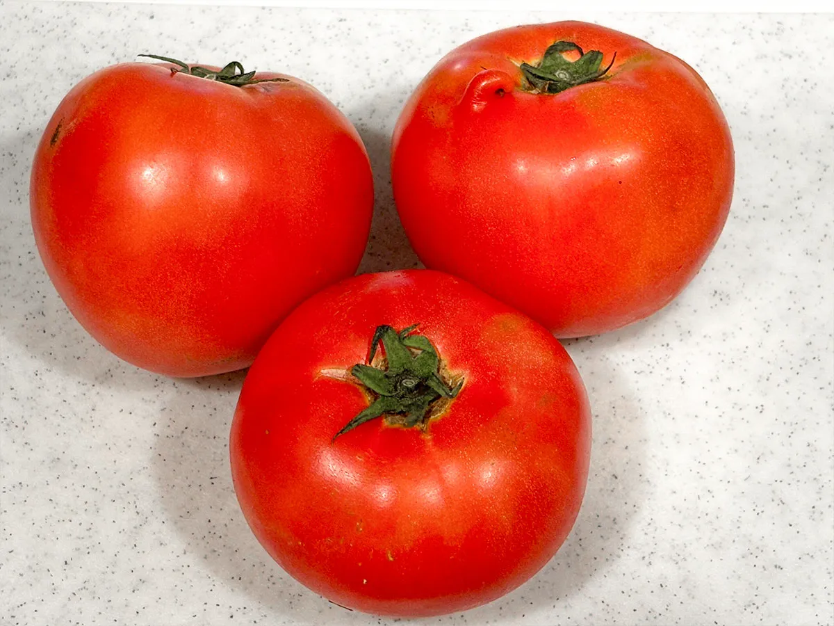 トマトの写真（撮影：grape編集部）