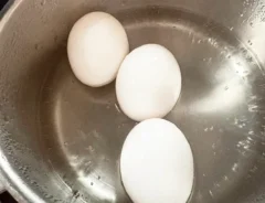 ゆで卵の写真（撮影：エニママ）