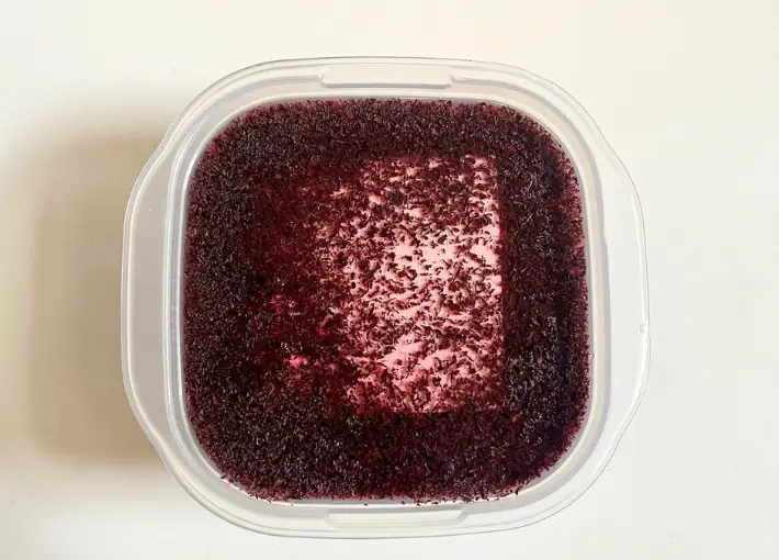 調味液に豆腐を漬ける（撮影：エニママ）