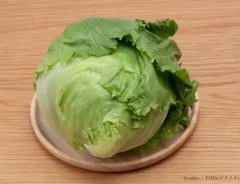 レタスのイメージ写真