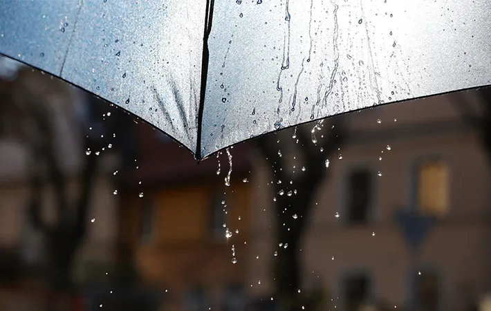 雨と傘の写真