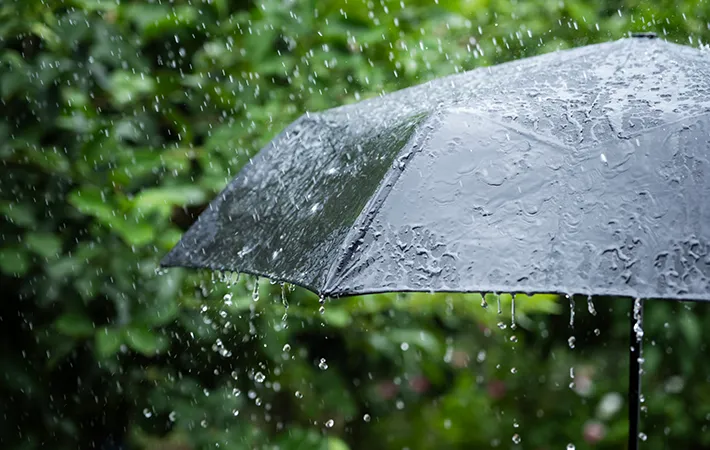 雨と傘の写真