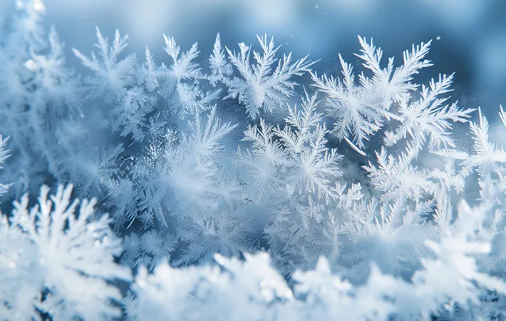 氷の結晶の写真
