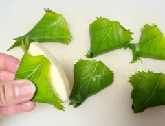 6Pチーズにしその葉を巻いた画像（撮影：エニママ）