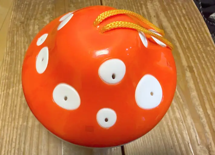 昆虫ケースの蓋の画像（撮影：エニママ）
