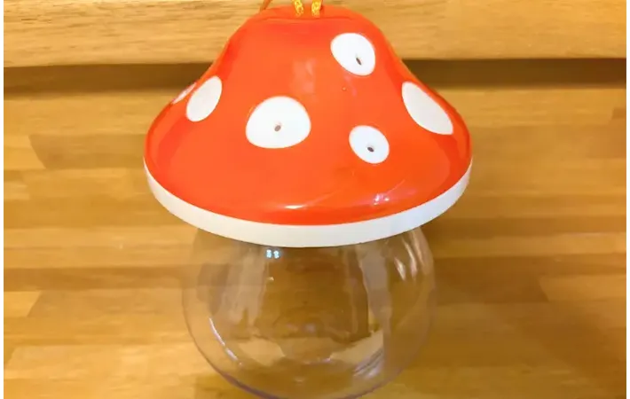 昆虫ケースの画像（撮影：エニママ）