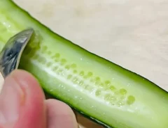 キュウリ（画像提供：沖多恵子）