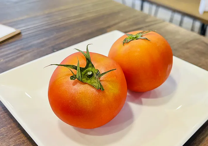 トマトの写真