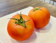 トマトの写真（画像提供：沖多恵子）