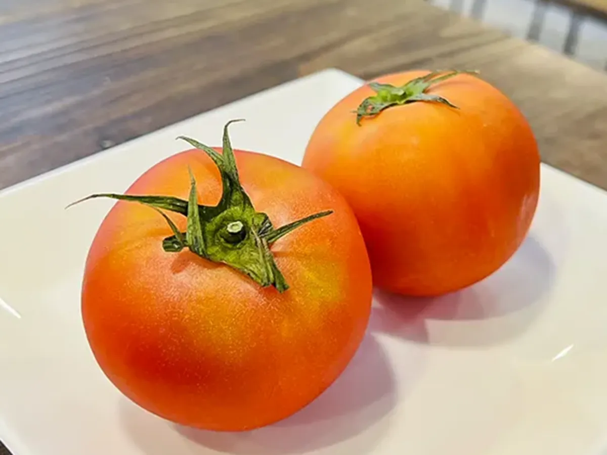 トマトの写真(画像提供:沖多恵子)