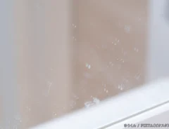 水垢の写真