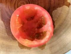 トマトグラタン