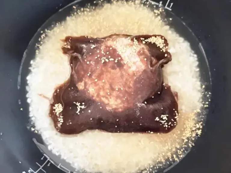 炊飯器にハンバーグを入れる場面(撮影:エニママ)