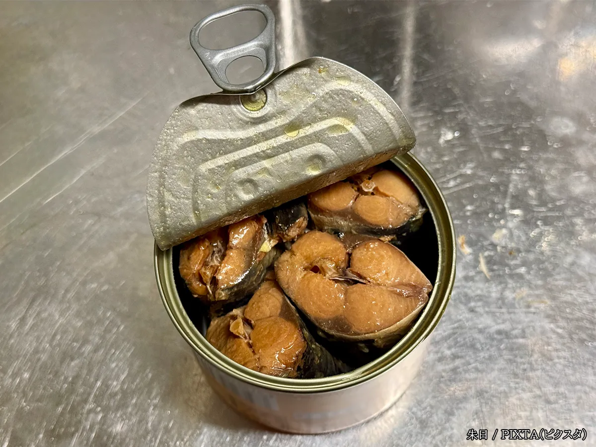 サバ缶の写真