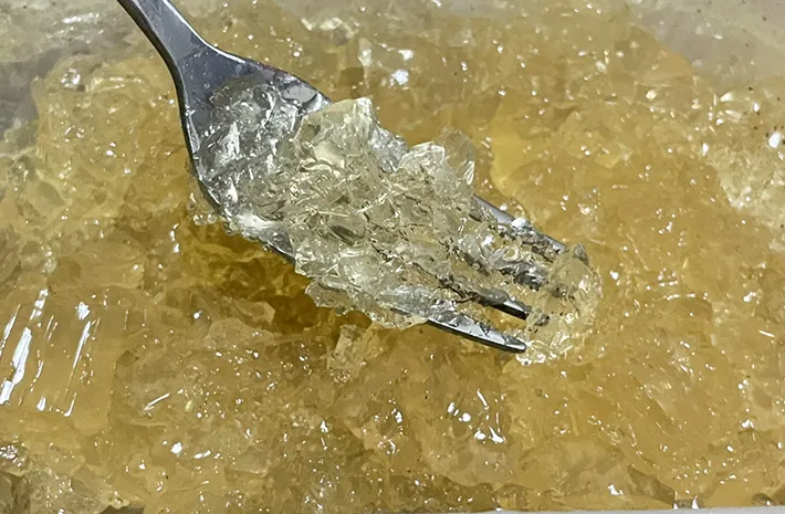 コンソメゼリーの写真（撮影：grapeフード編集部）