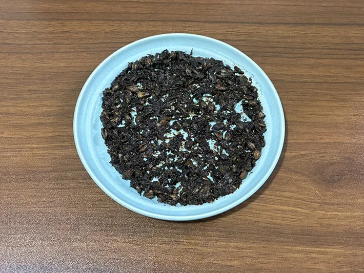 電子レンジで温めて乾燥させた茶殻（撮影：grapeライフハック編集部）
