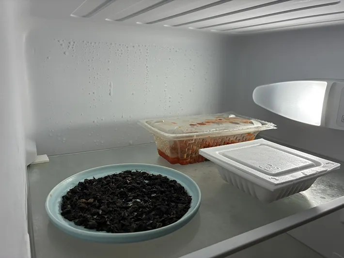 冷蔵庫に消臭剤として入れた茶殻（撮影：grapeライフハック編集部）