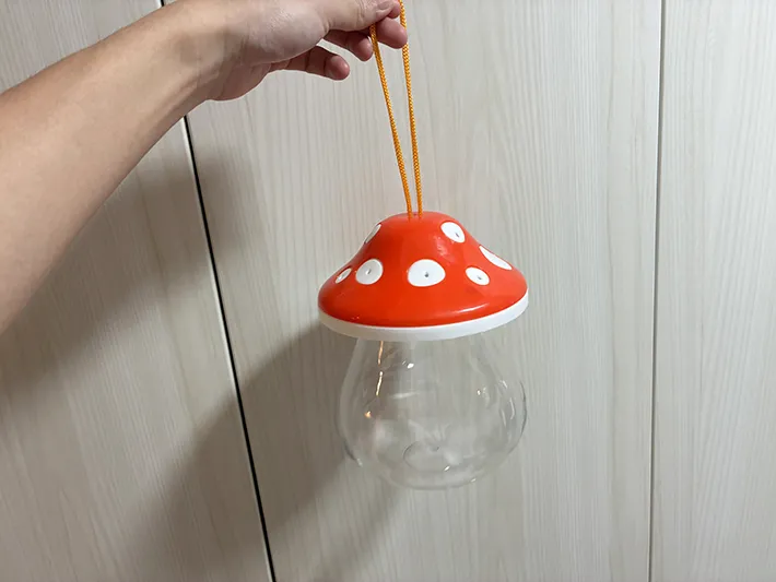 指でつかんだ昆虫ケース（撮影：grapeライフハック編集部）