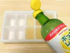 『ポッカレモン100』を製氷皿に入れる写真（撮影：grapeフード編集部）