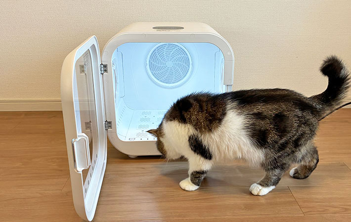 『Drybo Plus』に興味津々な小四郎くんの写真