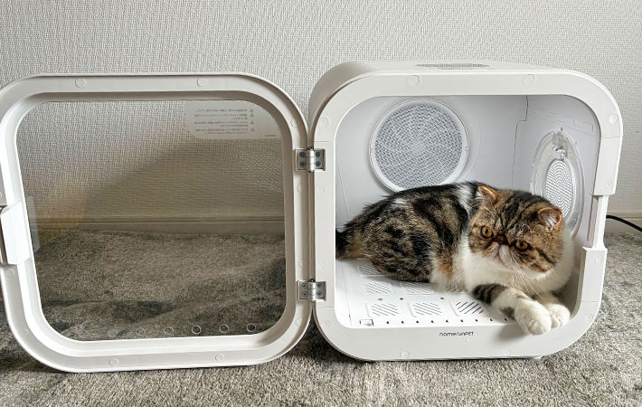 『Drybo Plus』に入っている小四郎くんの写真