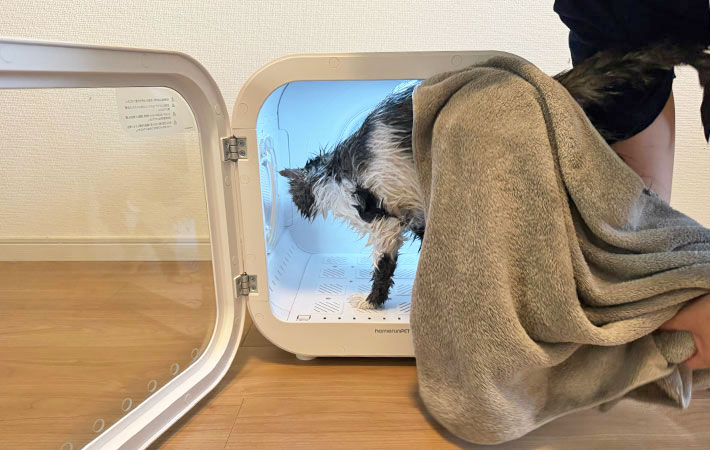 『Drybo Plus』に入る小四郎くんの写真
