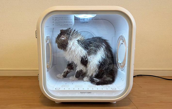 『Drybo Plus』で乾燥中の小四郎くんの写真