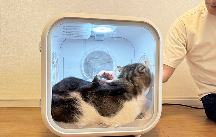 『Drybo Plus』でブラシ中の小四郎くんの写真