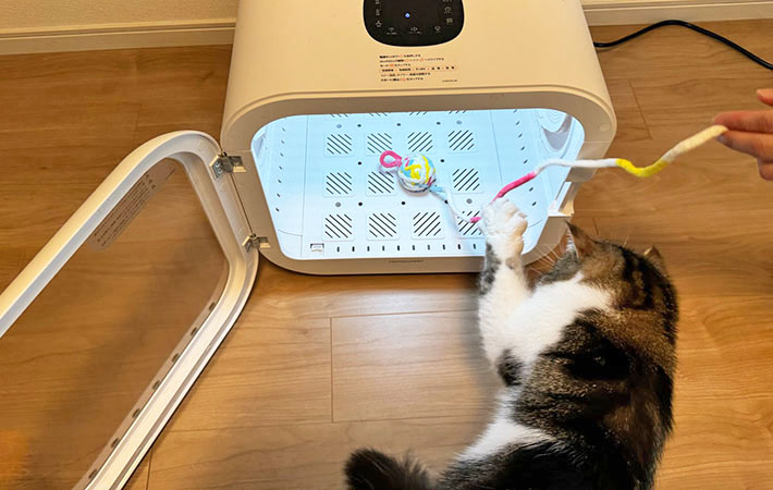 『Drybo Plus』と小四郎くんの写真