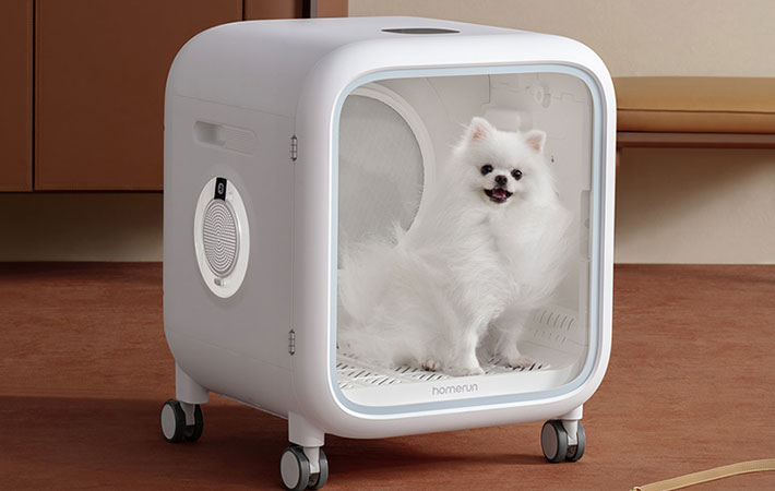 『Drybo Plus』を使う犬の写真